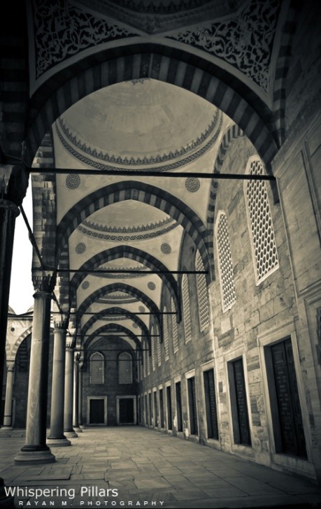 5 مراحل عقلية لتأكيد المنهجية