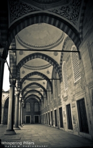 5 مراحل عقلية لتأكيد المنهجية